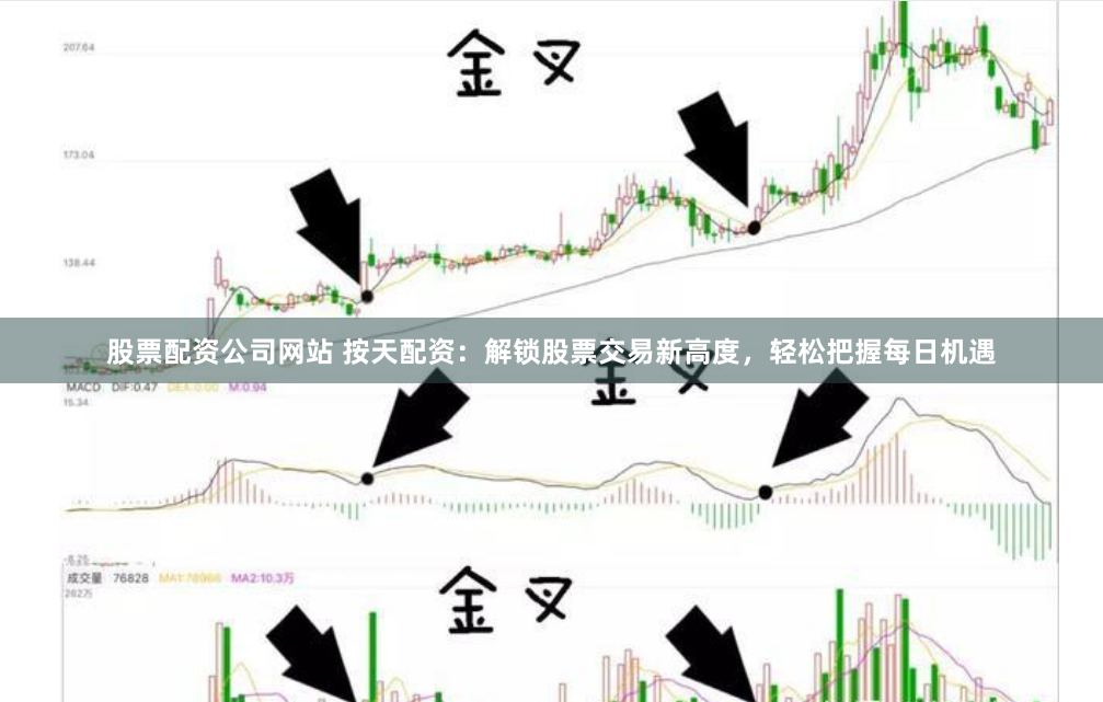 股票配资公司网站 按天配资：解锁股票交易新高度，轻松把握每日机遇