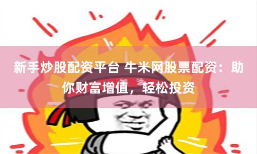 新手炒股配资平台 牛米网股票配资：助你财富增值，轻松投资